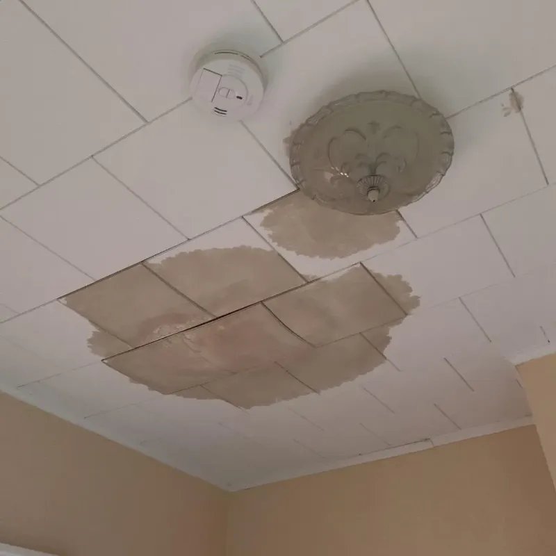 Ceiling Water Damage Repair in Willoughby Hills, OH