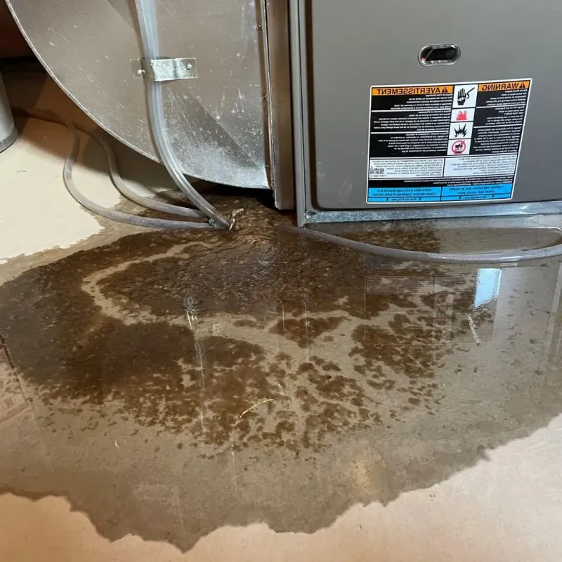 Pipe Burst and Leak Restoration in Willoughby Hills, OH
